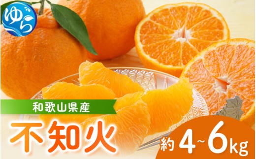 yV[Ys\za̎RY sm 4`6kg 2026N2{珇 ikCEEzsj / k ݂ ʂ  t[c ʕ  Hi lC Rǒ 