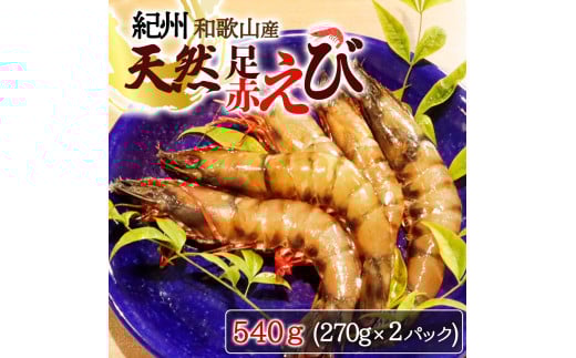 IBa̎RYVRԂ540gi270g×2pbNj@ϔy2025N112026N2{ɏzyUT23zyuot772Aza̎RRǒ20000ECYGr