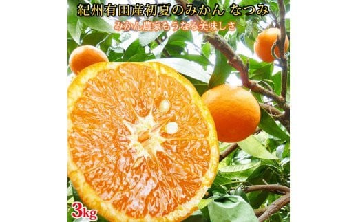 初夏のみかん なつみ3kg【2026年4月中旬頃〜2026年4月下旬頃発送】【先行予約】【UT56】【uot753A】和歌山県由良町12000果物・フルーツみかん・柑橘類