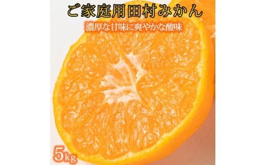 【ご家庭用訳あり】田村みかん 5kg【2025年12月上旬以降発送】【先行予約】【UT18】【uot754A】和歌山県由良町13000果物・フルーツみかん・柑橘類
