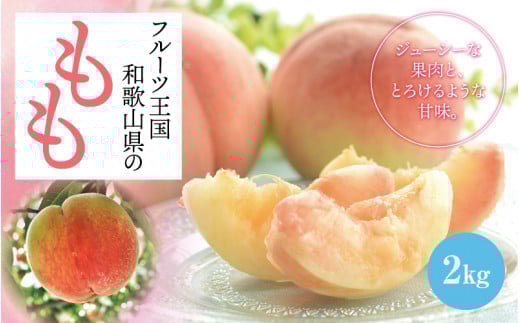 フルーツ王国 和歌山 の 桃 約2kg(fr-06) 先行予約 2026年6月中旬から7月下旬発送【MS107】【ard048D】和歌山県由良町18000果物・フルーツもも・すもも