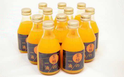 yYzc݂̐VN100W[Xuɂ̈Hv180ml×12{聚2025N2{菇yTM20zytec936Aza̎RRǒ17000Eʏ`E؈