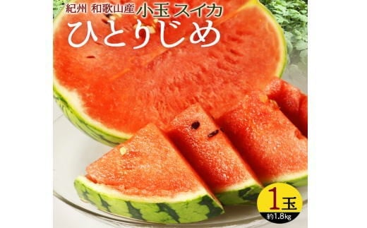 紀州和歌山産 小玉スイカ「ひとりじめ」 1玉【2026年6月上旬頃〜2026年7月上旬頃に順次発送】【UT85】【uot778】和歌山県由良町10000果物・フルーツメロン・スイカ