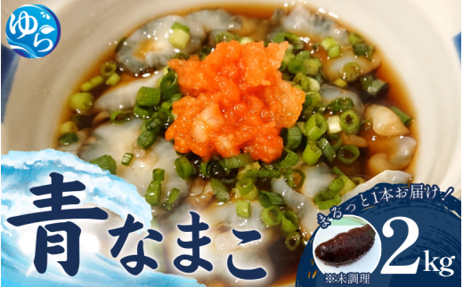 ys\z Ȃ܂ Ȃ܂ 2kg y2025N1220菇z / i}R C̍K Rǒ VN hg  Yn CY Y a̎Ryskmn015za̎RRǒ24000ECYL