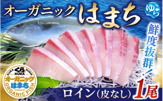 yizI[KjbN ͂܂ 1 Ci疳j1.6kg`1.9kg  / n}` ۂ hg ʌ Ԍ 2025N12{`2026N4܂ŏykura006Aza̎RRǒ28000