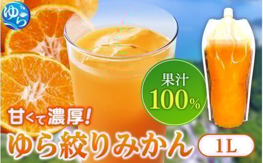 無添加 ストレート果汁! みかんジュース 1L×3本【fmlb020】和歌山県由良町15000お茶・飲料果汁・野菜飲料