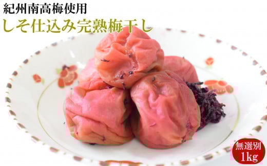 IB썂~gp@d݊n~ I1kgmTM145nytec973Aza̎RRǒ15000ZbgE؁EHHiЕE~EL`