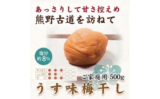 IB썂~ ~ 500g ƒp yUS32zyuts051za̎RRǒ11000ZbgE؁EHHiЕE~EL`