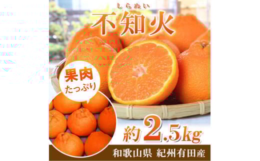 紀州有田産不知火(しらぬひ) 2.5kg【UT61】【uot794】和歌山県由良町10000果物・フルーツみかん・柑橘類