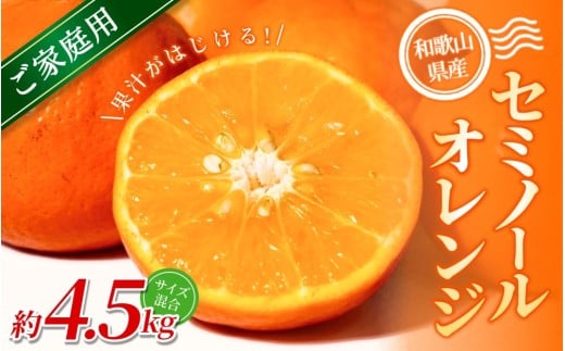 【家庭用】 森本農園の手選別 セミノールオレンジ 約4.5kg 和歌山県産 サイズ混合 【2026年4月中旬〜5月中旬頃に順次発送】【RN27】【mrmt027】和歌山県由良町10000果物・フルーツみかん・柑橘類