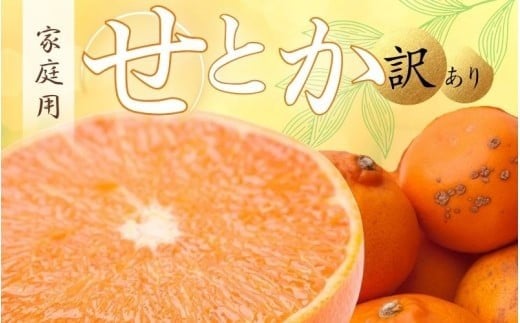 <2月より発送>家庭用 せとか 5kg+250g(傷み補償分)【柑橘・春みかんの王様】【わけあり・訳あり】【光センサー選果・食べ頃出荷】/ みかん 果物 くだもの フルーツ 和歌山 わかやま お