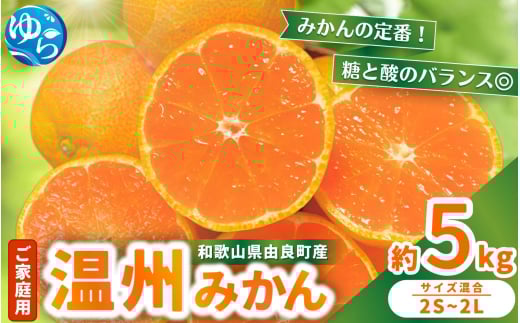 【先行予約】家庭用 温州みかん 5kg ※2025年11月中旬頃〜2025年12月中旬頃に順次発送 / 農家直送 くだもの  果実  柑橘 果物 フルーツ 国産 和歌山県 由良町 ご家庭用 人気 おすすめ【nktn003】和