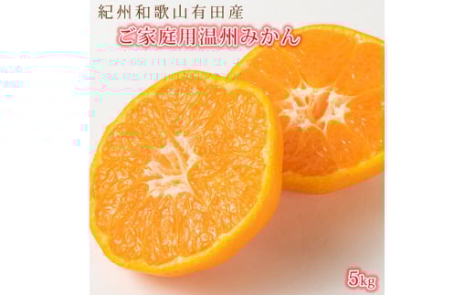 mƒpAnIBLcYZnB݂ 5kg m2025N11{ȍ~ s\ nmUT13nyuot003za̎RRǒ11000ʕEt[c݂Ek