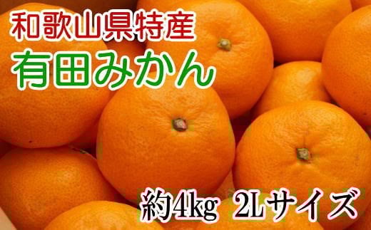秀品 和歌山 有田みかん 約4kg 2Lサイズ【tec915A】和歌山県由良町10000果物・フルーツみかん・柑橘類