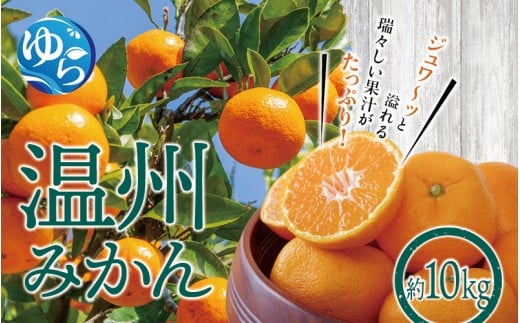 和歌山県産 温州みかん10kg ※2025年12月初旬頃〜順次発送予定(お届け日指定不可) / 温州 密柑 JA 糖度 甘い 光センサー ゆらみかん 由良町 ミカン  柑橘 期間限定 和歌山県産【jahd004】和歌山