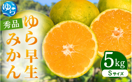 【先行予約】ゆら早生みかん 秀品 Sサイズ 5kg 贈答用※2025年10月頃に順次発送予定 / ゆら早生 柑橘 極早生 フルーツ 果物 くだもの 食品 人気 おすすめ  由良町 【ksmt005】和歌山県由良町16000
