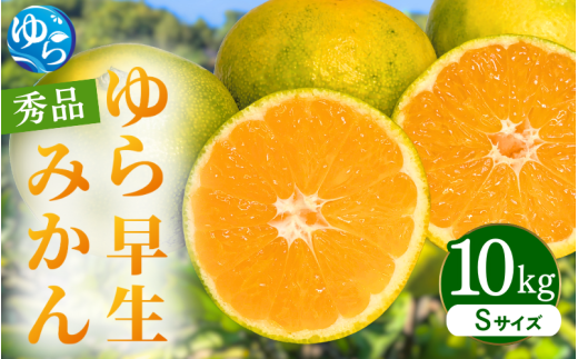 【先行予約】ゆら早生みかん 秀品 Sサイズ 10kg 贈答用※2025年10月頃に順次発送予定 / ゆら早生 柑橘 極早生 フルーツ 果物 くだもの 食品 人気 おすすめ  由良町 【ksmt006】和歌山県由良町24000