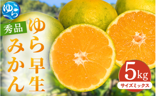 【先行予約】ゆら早生みかん 秀品 サイズミックス 5kg 贈答用※2025年10月頃に順次発送予定 / ゆら早生 柑橘 極早生 フルーツ 果物 くだもの 食品 人気 おすすめ  由良町 【ksmt011】和歌山県由