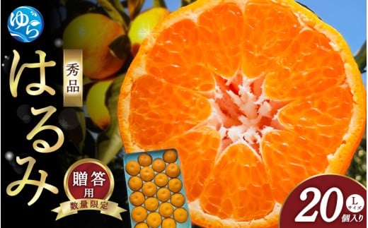 【来シーズン先行予約】はるみ 和歌山みかん 秀品 Lサイズ 20個入り 贈答用※2026年1月中旬頃に順次発送予定 / はるみ 柑橘 贈り物 フルーツ 果物 くだもの 食品 人気 おすすめ  由良町【ksmt014
