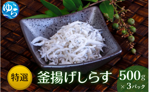 特選釜揚げしらす(500gパック入り×3つ) / シラス しらす丼 国産 冷蔵 プレミア和歌山認定  個包装 魚 お魚 さかな 食品 和歌山県 由良町 20000円 スピード配送【uoms003】和歌山県由良町20000魚