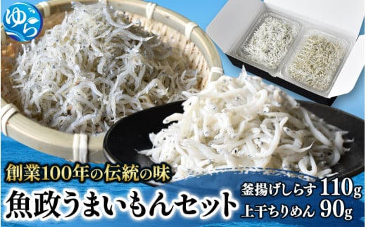 魚政うまいもんセット(釜揚げしらす110g・上干ちりめん90g) /  しらす シラス 釜揚げしらす 釜揚げシラス ちりめん 上干ちりめん しらす丼 国産 海藻 魚 お魚 さかな 食品 和歌山県 由良町