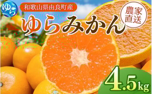 【先行予約】ゆらみかん  4.5kg ※2025年12月上旬頃から順次発送予定 / 温州みかん 和歌山県 柑橘 みかん 甘い 蜜柑 フルーツ 果物 くだもの 食品 人気   おすすめ  産地直送 由良町【kzmn018】和