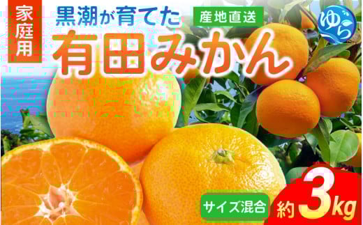 ys\zĂLc݂iƒpETCYj3kgm2025N11{珇\ ͂ԑюwn /  k ~J t[c ʕ  Hi lC 