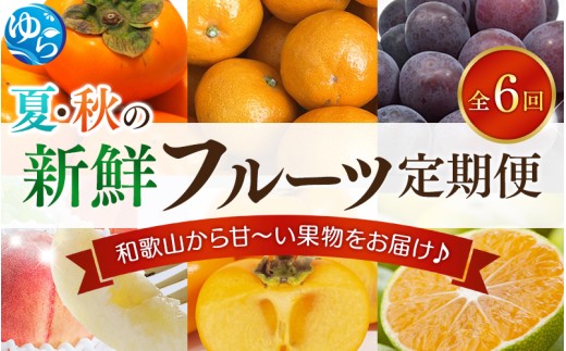 フルーツ 定期便 【全6回】/ 桃 ピオーネ 極早生みかん たねなし柿 富有柿 有田みかん / 和歌山 甘い 果物 【tec-tkb001】和歌山県由良町91000果物・フルーツその他 果物・フルーツ