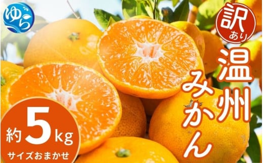 【先行予約】【訳あり】温州みかん 約5kg (サイズおまかせ)【2025年12月中旬から順次発送予定】※北海道・沖縄・離島配送不可 / ミカン 蜜柑 フルーツ ワケあり 果物 柑橘 果実 由良町 国産