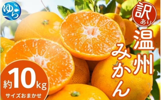 【先行予約】【訳あり】温州みかん 約10kg(サイズおまかせ)【2025年12月中旬から順次発送予定】※北海道・沖縄・離島配送不可 / ミカン 蜜柑 フルーツ ワケあり 果物 柑橘 果実 由良町 国