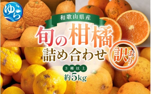 \来シーズン先行予約/【訳あり】旬の柑橘詰め合わせ(3種以上)約5kg【2026年2月初旬頃から順次発送予定】※北海道・沖縄・離島配送不可 / みかん 蜜柑 フルーツ 果物 くだもの 由良町 詰