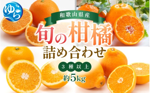 \来シーズン先行予約/旬の柑橘詰め合わせ(3種以上)約5kg【2026年2月初旬頃から順次発送予定】※北海道・沖縄・離島配送不可 / みかん 蜜柑 フルーツ 果物 くだもの 由良町 詰合せ おす