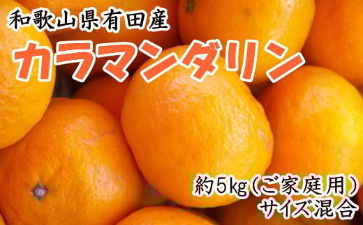 【春みかん】和歌山有田産カラマンダリン約5kg(サイズ混合 ご家庭用)※2026年4月上旬〜5月中旬頃に順次発送予定(お届け日指定不可)【tec937】和歌山県由良町12000果物・フルーツみかん・