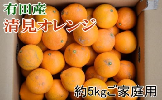 【先行予約】【濃厚】有田産清見オレンジ約5kg(サイズおまかせまたは混合)ご家庭用 ※2026年2月中旬〜2026年3月下旬頃発送予定(お届け日指定不可) / みかん オレンジ 和歌山 有田みかん