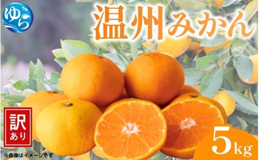 【先行予約】(訳あり)温州みかん 5kg 【11月中旬〜順次出荷】/ みかん ミカン 和歌山県 柑橘  甘い 蜜柑 フルーツ 果物 くだもの 食品  産地直送 由良町 ご家庭用 温州 温州ミカン 【kwgc003-11