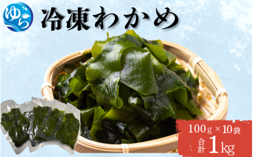 冷凍わかめ 100g×10袋【令和7年度産】 / 食品 海の幸 海鮮 小分け カイセン海鮮類 ワカメ 冷凍ワカメ 酢の物 サラダ 簡単調理 お味噌汁 冷凍 和歌山県 由良町 【skmn031】和歌山県由良町13000魚介