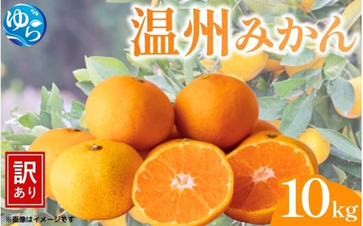 【先行予約】(訳あり)温州みかん 10kg 【12月上旬〜順次出荷】/ みかん ミカン 和歌山県 柑橘  甘い 蜜柑 フルーツ 果物 くだもの 食品  産地直送 由良町 ご家庭用 温州 温州ミカン 【kwgc004-1