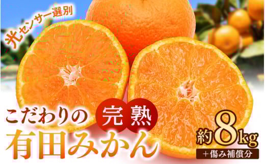 早期先行予約!  こだわりの有田みかん 約8kg+250g(傷み補償分) 【ご家庭用】【11月発送】 光センサー選別品 農家直送品 ※北海道・沖縄・離島配送不可 / みかん 有田みかん 温州みかん 柑橘
