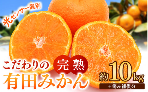 早期先行予約!  こだわりの有田みかん 約10kg+250g(傷み補償分) 【ご家庭用】【11月発送】 光センサー選別品 農家直送品 ※北海道・沖縄・離島配送不可 / みかん 有田みかん 温州みかん 柑