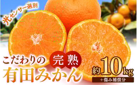 早期先行予約!  こだわりの有田みかん 約10kg+250g(傷み補償分) 【ご家庭用】【12月発送】 光センサー選別品 農家直送品 ※北海道・沖縄・離島配送不可 / みかん 有田みかん 温州みかん 柑