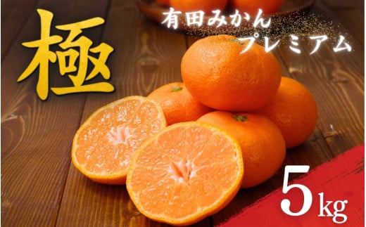 \光センサー選別/極 有田みかんプレミアム 約5kg【光センサー 高糖度選別品】2S〜Lサイズ 有機質肥料100% ※2025年11月下旬頃〜2026年1月上旬頃に順次発送予定 ※北海道・沖縄・離島への配送