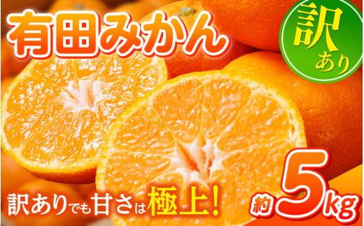 【訳あり】農家直送 有田みかん 約5kg ご家庭用 サイズ混合 ※2025年11月中旬より順次発送予定(お届け日指定不可)※北海道・沖縄・離島への配送不可 訳ありみかん みかん ミカン 蜜柑 柑