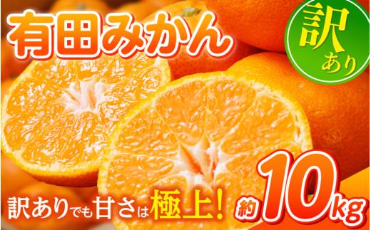 【先行予約】 和歌山県産 有田みかん 約10kg ※2025年11月中旬より順次発送予定【訳あり】ご家庭用 サイズ混合 (お届け日指定不可) 訳ありみかん 温州みかん サイズ混合 有機質肥料100% 柑