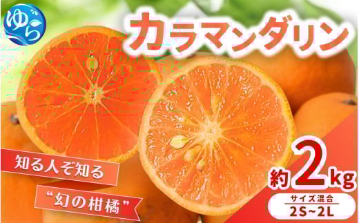 【来シーズン 先行予約】カラマンダリン 約2kg ※2026年3月下旬〜順次発送 農家直送 / くだもの  果実  柑橘 果物 フルーツ 国産 和歌山県 由良町 からまんだりん カラ 人気 おすすめ 和歌山 甘
