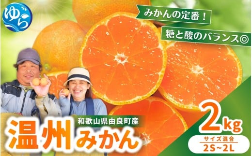 温州みかん 約2kg 2S〜2Lサイズ混合 ※2025年12月上旬〜順次発送 / 温州 ミカン 農家直送 完熟 密柑 くだもの  果実  柑橘 果物 フルーツ 和歌山県 由良町 人気 おすすめ 産地直送【nktn015-sp-12】