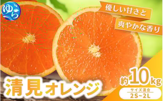 【来シーズン 先行予約】清見オレンジ 約10kg ※2026年3月上旬〜順次発送 農家直送 / くだもの  果実  柑橘 果物 フルーツ 国産 和歌山県 由良町 清見  人気 おすすめ 和歌山 甘い きよみ 清見お