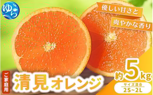 【来シーズン 先行予約】≪家庭用≫ 清見オレンジ 約5kg ※2026年3月上旬〜順次発送 農家直送 / くだもの  果実  柑橘 果物 フルーツ 国産 和歌山県 由良町 清見  人気 おすすめ 和歌山 甘い き