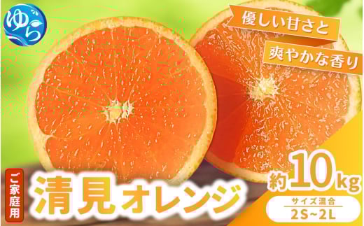 yV[Y s\zƒp IW 10kg 2026N3{` _ƒ /   ʎ  k ʕ t[c Y a̎R Rǒ   lC  a̎R Â 