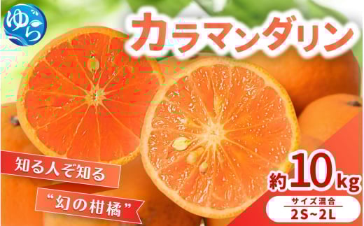 【来シーズン 先行予約】カラマンダリン 約10kg ※2026年3月下旬〜順次発送 農家直送 / くだもの  果実  柑橘 果物 フルーツ 国産 和歌山県 由良町 からまんだりん カラ 人気 おすすめ 和歌山