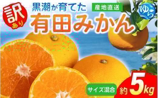 ys\zLc݂i󂠂ETCYj5kg2025N11{珇\i͂ԑюwj /  k ~J t[c ʕ  Hi lC  Yn